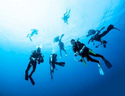 Open Water Diver